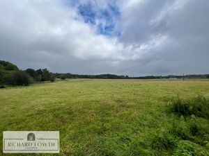 Rear Views- click for photo gallery